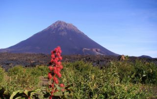 Vulkanbesteigung Pico de Fogo mit VIP Tours Cabo Verde