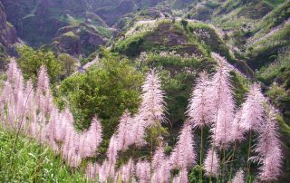 Kapverden Rundreise mit VIP Tours Cabo Verde