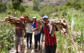 Trekking Rundreise mit Santo Antao, Begegnung mit Einheimischen